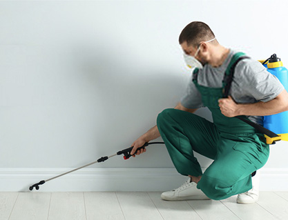 Pest Control Somers Services
