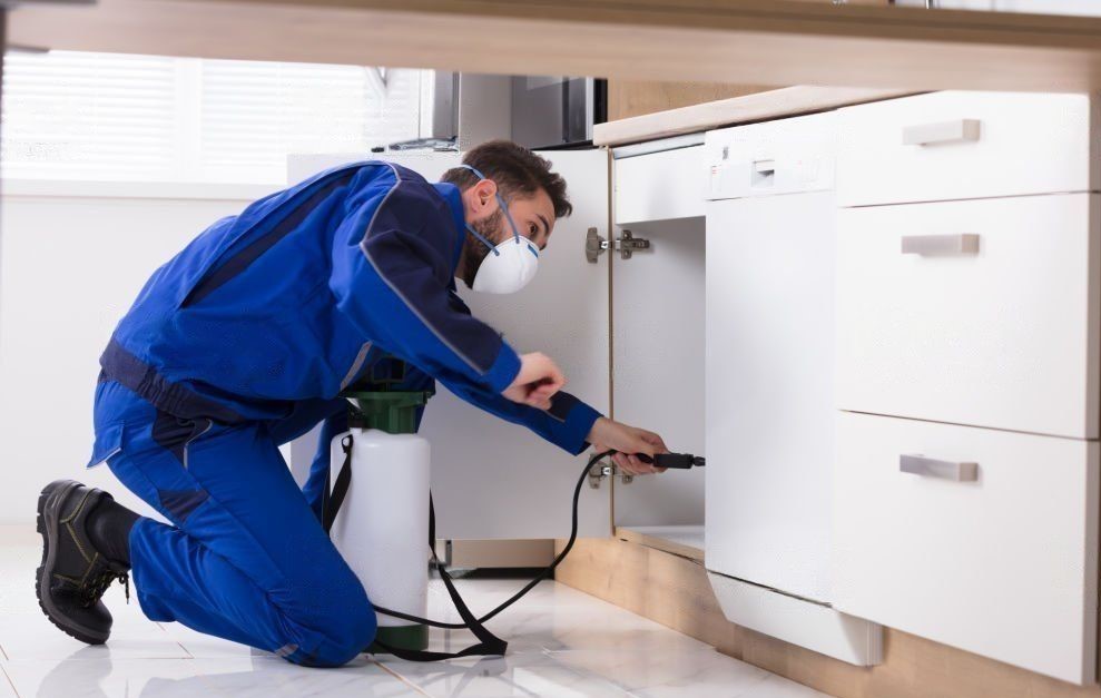 # 1 Trused Local Pest Control In Somers