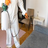 Residential Pest Control Somers