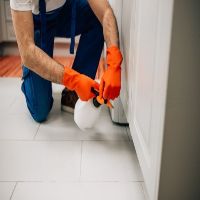 Same Day Pest Control Somers